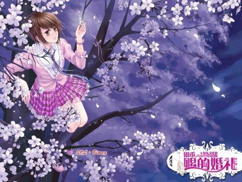 小猫钓鱼正版下载中文版
